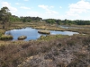 10-20200514-Overasselts-ven