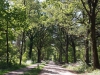 18-20200514_laantje-achter-Heumens-Bos-camping