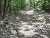 26a-Maldens-vlak