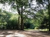 4-park-Brakkestein