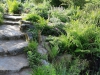 7-Hortus1